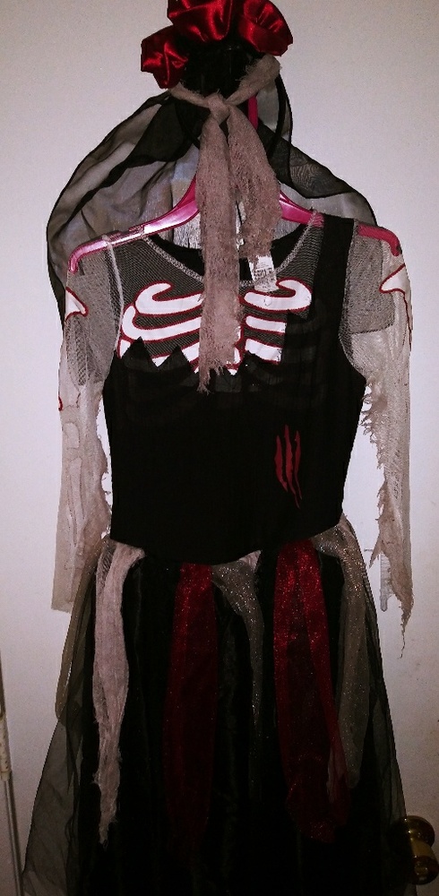 Girl's Halloween costume
